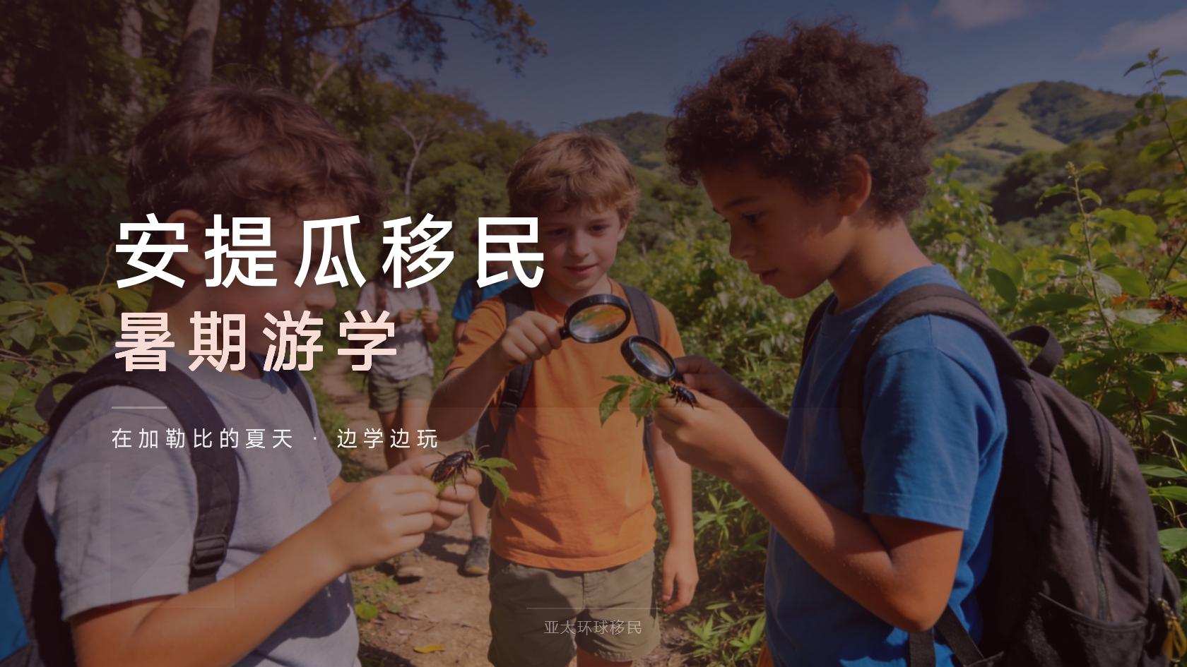 2026年安提瓜护照移民怎么申请？23万美元NDF门槛与办理流程