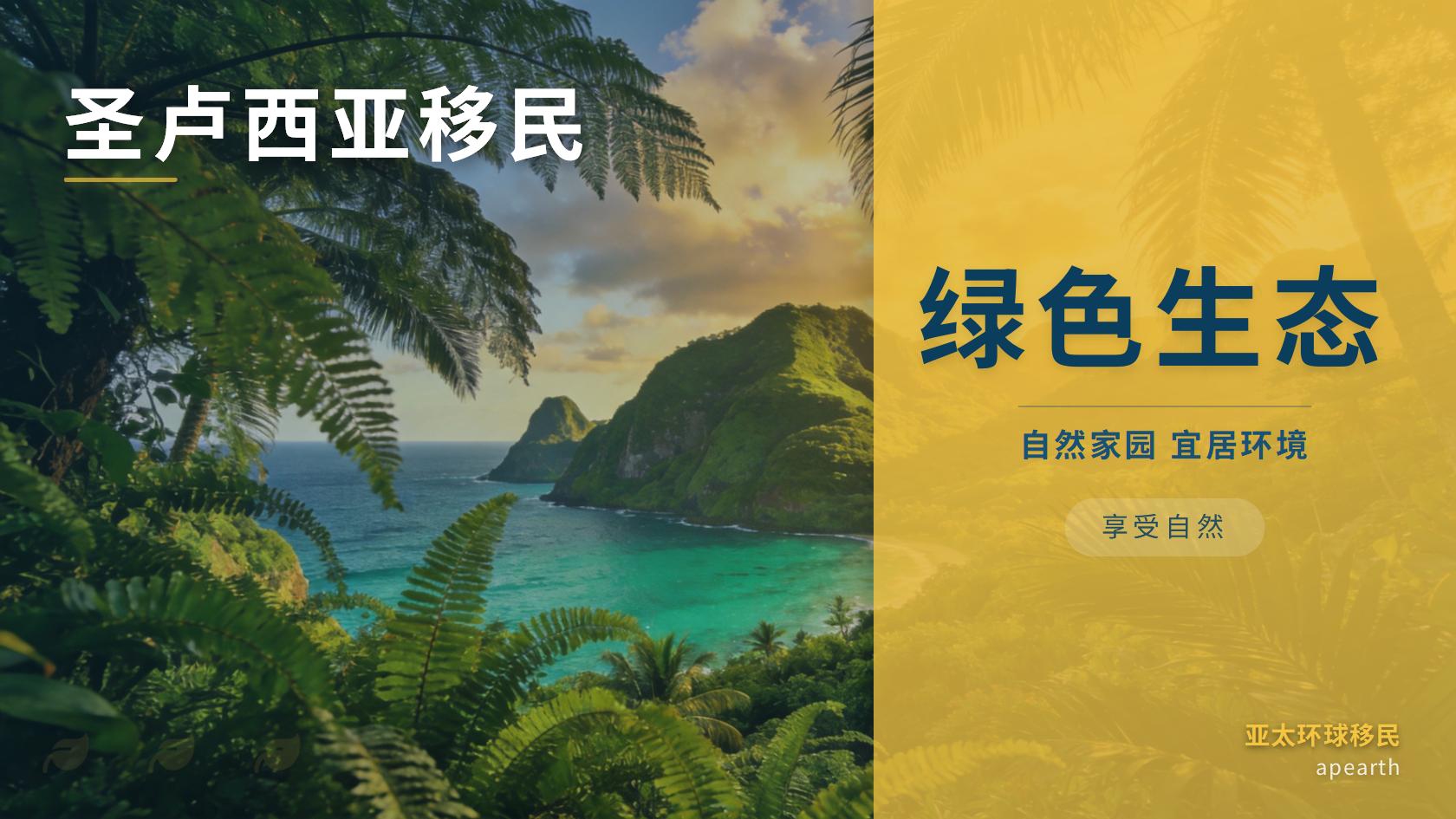 截至2026年9月，圣卢西亚成年子女如何证明经济依赖