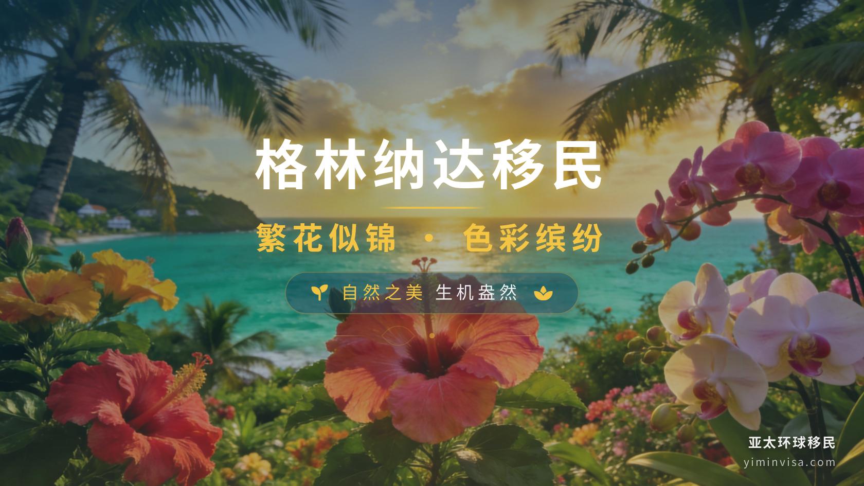 格林纳达护照能免签申根吗？2026欧盟政策变化需要怎样表述