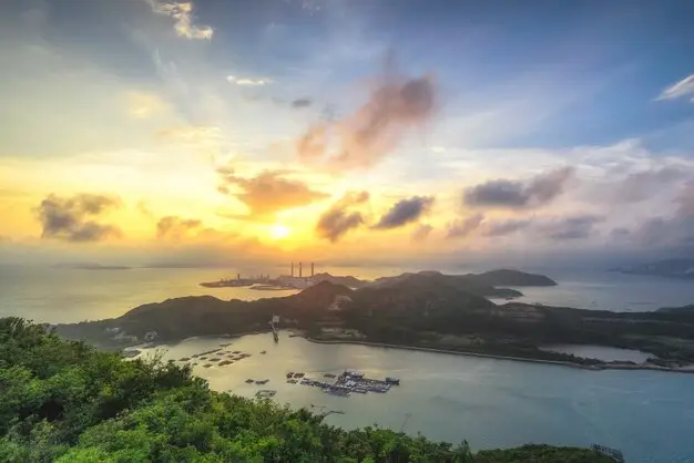 新加坡华文书法与篆刻艺术的传承