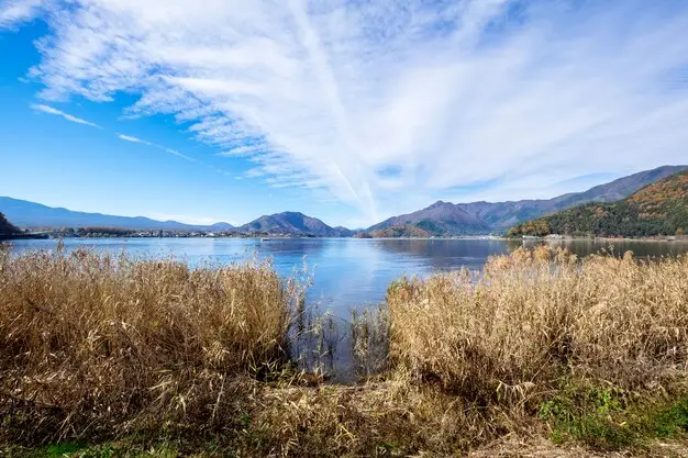 法国留学生筛选机制启动！官方宣布将加强外国学生入境审核