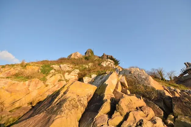 土耳其存款移民
