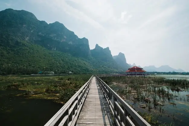 移民