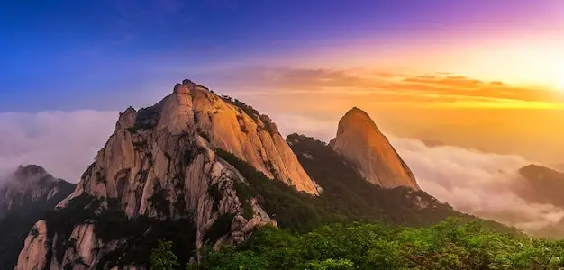 亚太环球移民