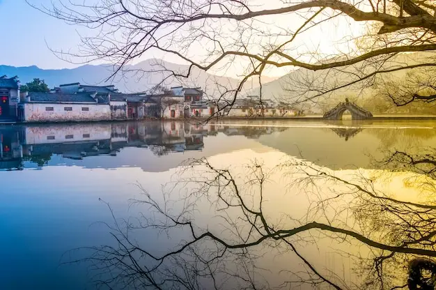 塞浦路斯移民