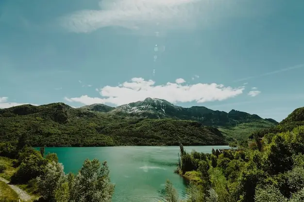 巴拿马移民