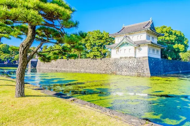 埃及移民