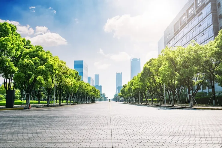 埃及存款移民费用一览表2026，含主管机构申请费