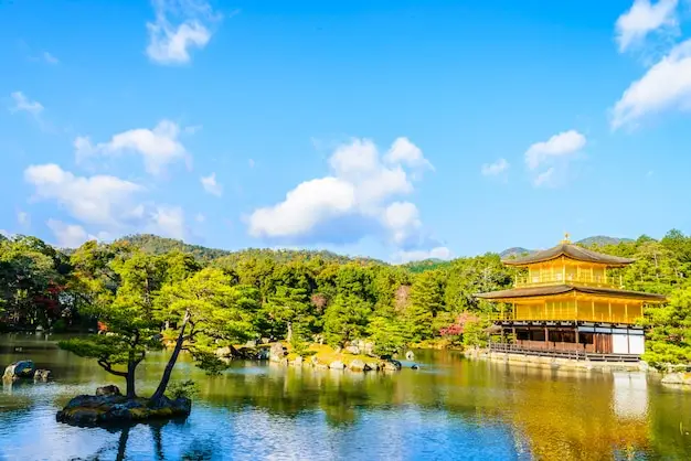 圣多美公民身份总投入，含材料认证及快递费