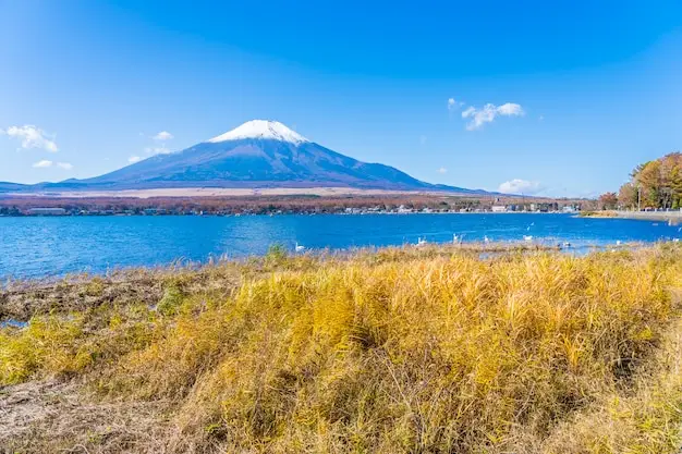 瓦努阿图护照项目申请费及入籍申请费清单
