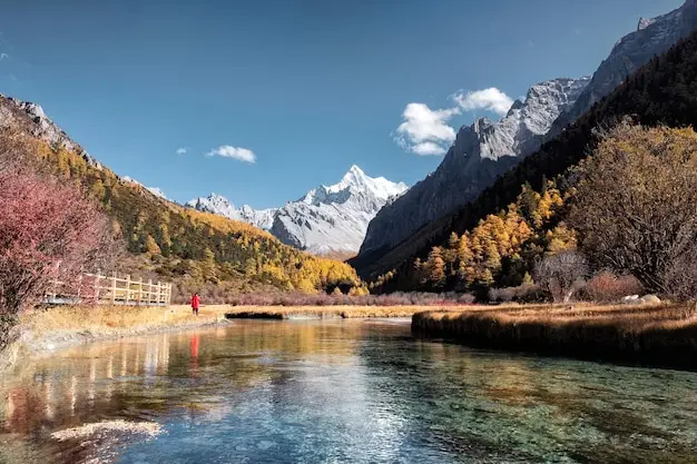 加勒比五国护照最便宜的是哪个多少钱？