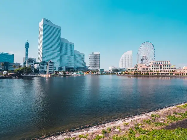 经营签转永居、归化日本年限要求，移民监政策一次性整理
