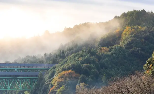 匈牙利申根居留通行欧盟，续签与转永居居住要求科普