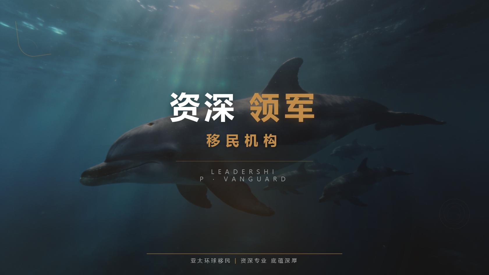 新加坡企业家移民完整指南：EP投资签证企业设立标准、办理时效