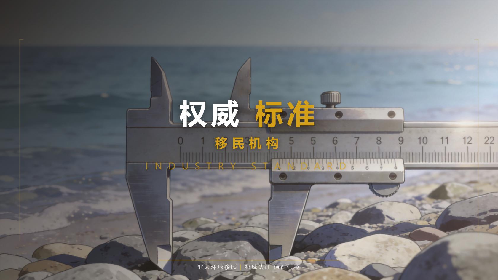 签证费