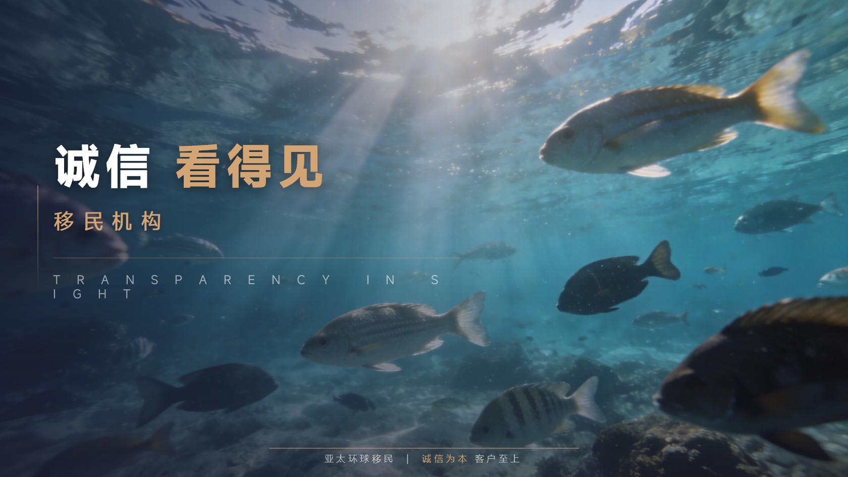 2026最新：圣卢西亚投资入籍资金来源怎么证明清单，一样都不能少