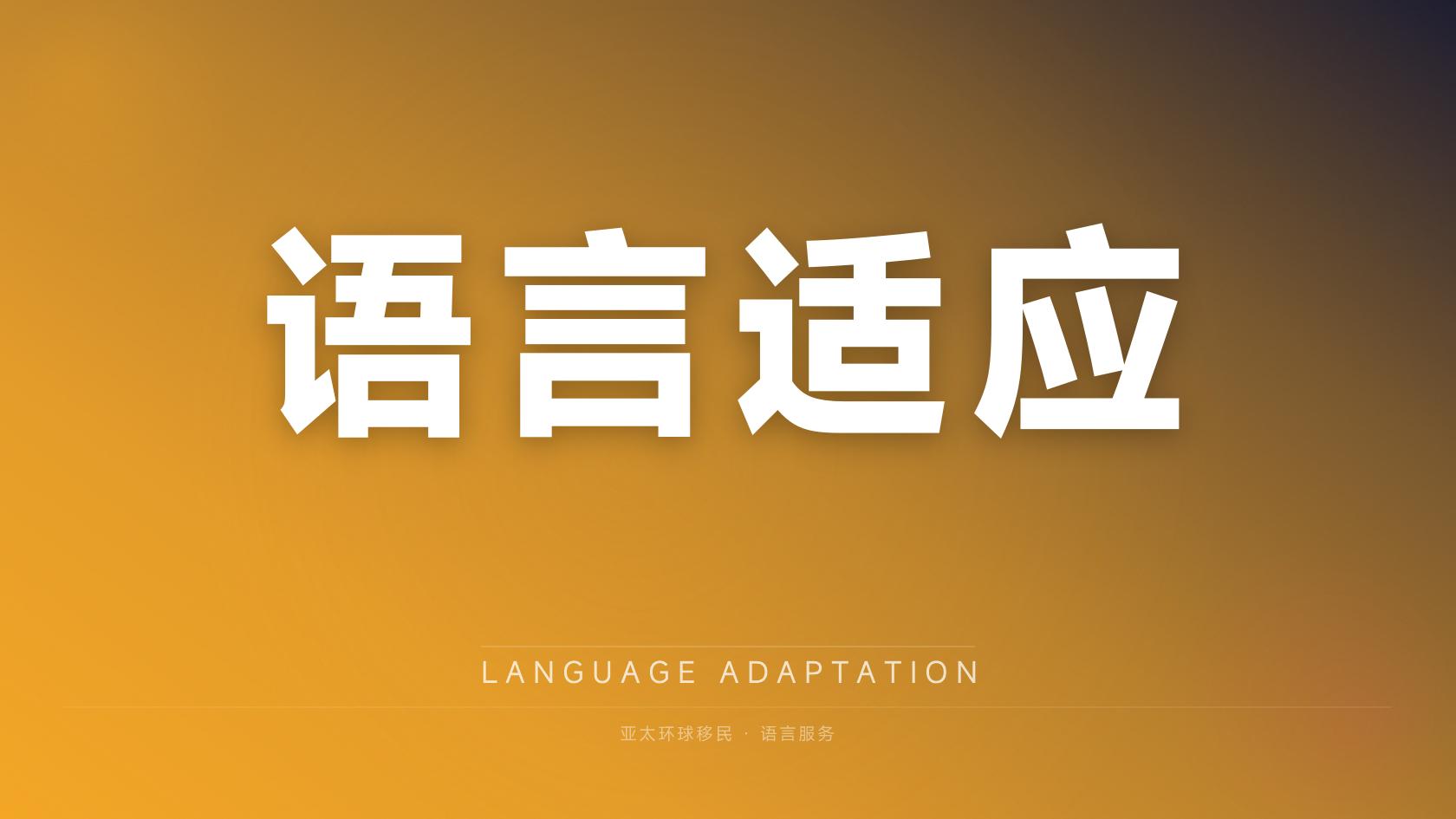 埃及第二护照单人办理费用，最低预算是多少