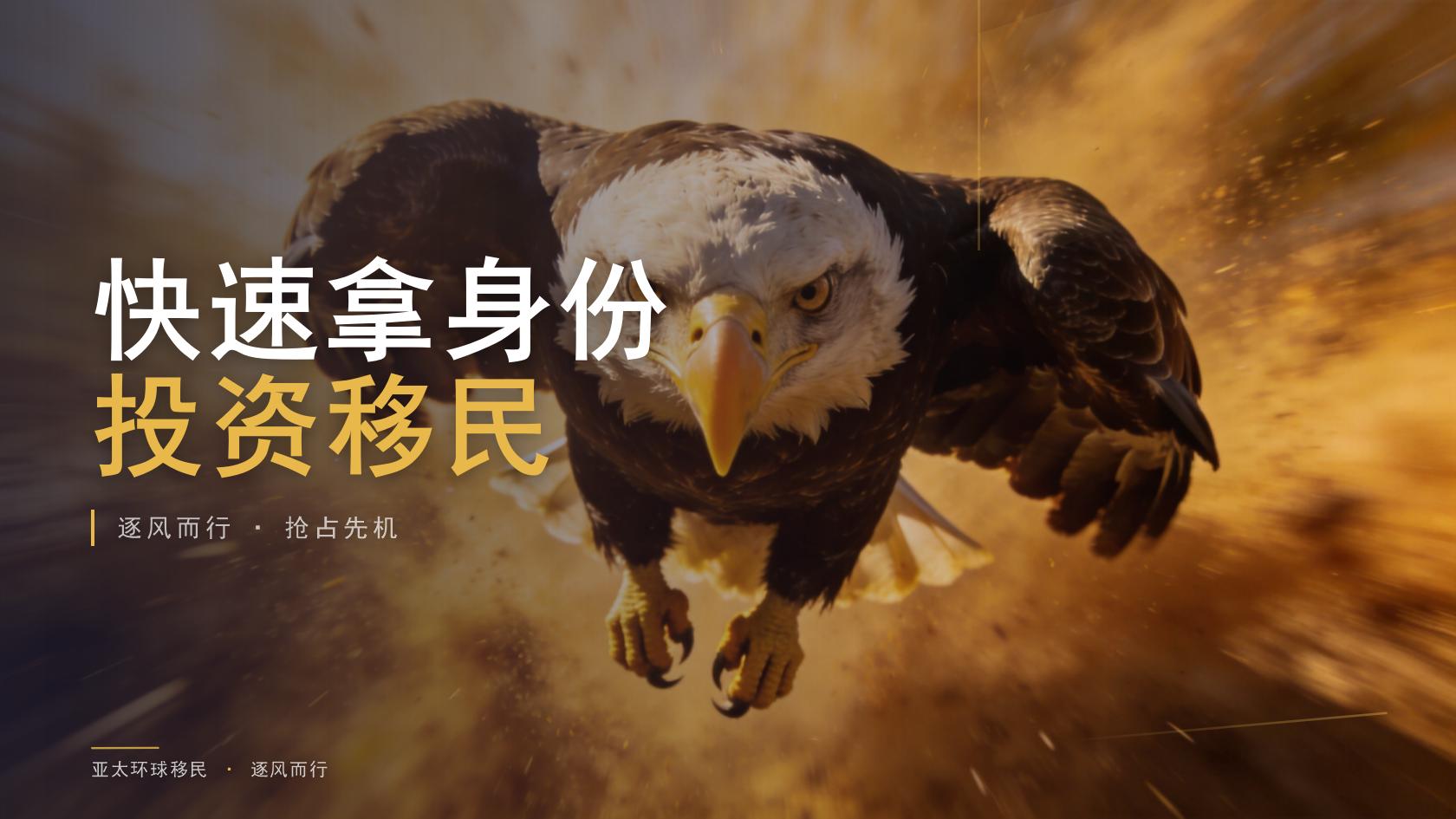全家移民公司常见风险有哪些？信息核验与签约避坑重点