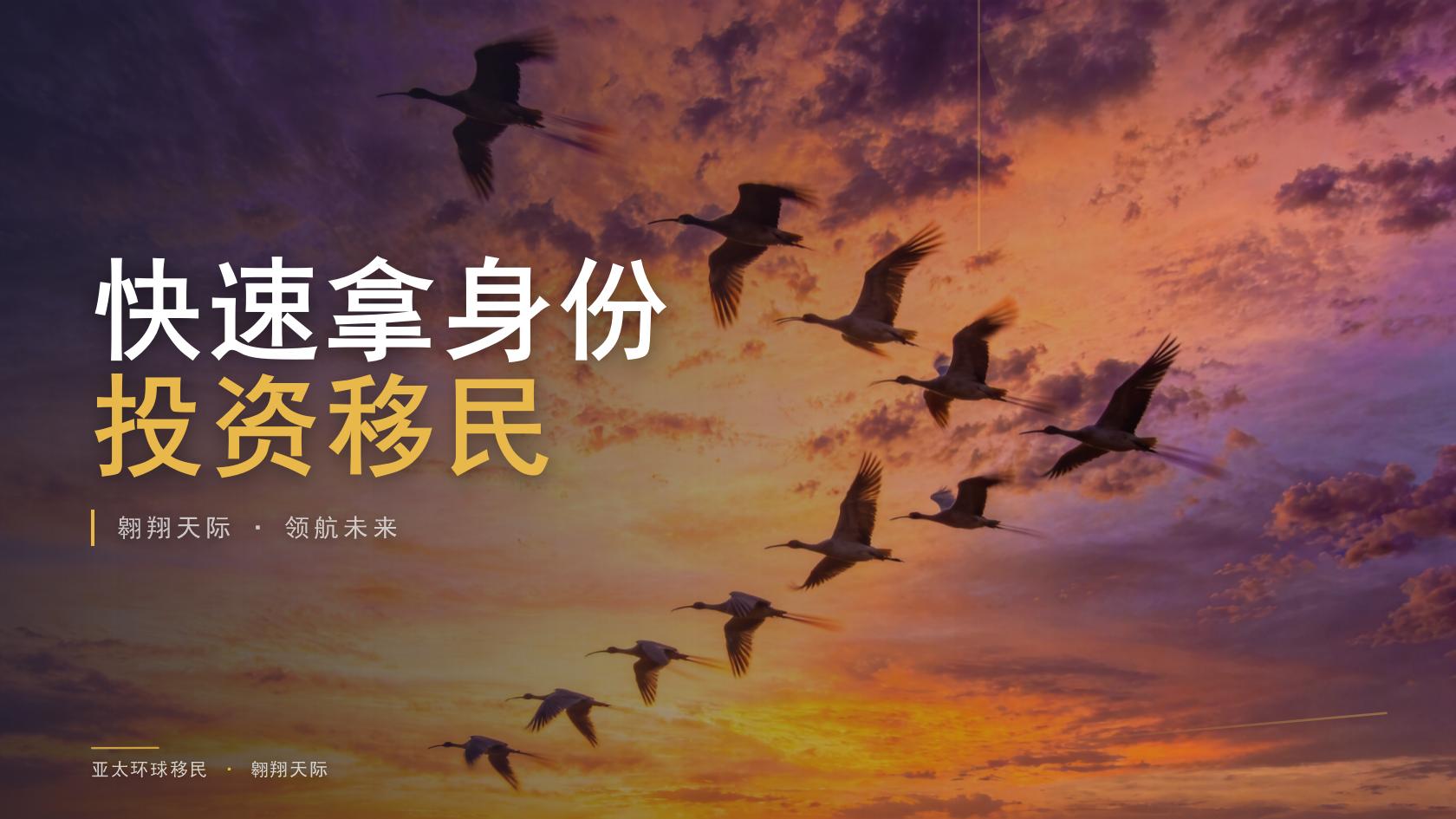 移民签证