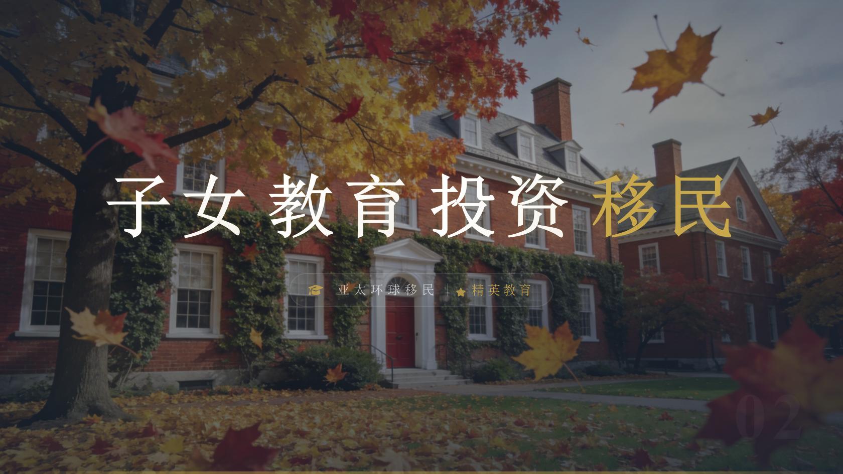 投资