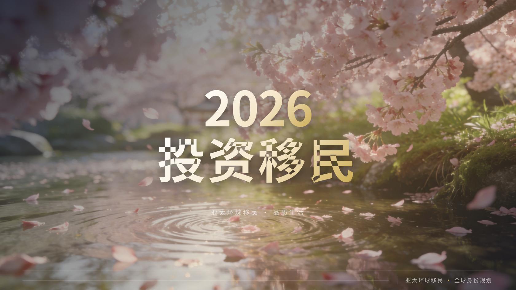 投资移民咨询需要提前了解什么？条件、流程、费用与风险说明
