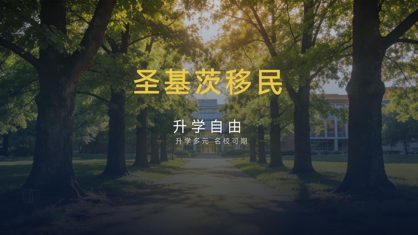 圣基茨移民杂费拆解：翻译、公证、认证和国际快递会花多少精力
