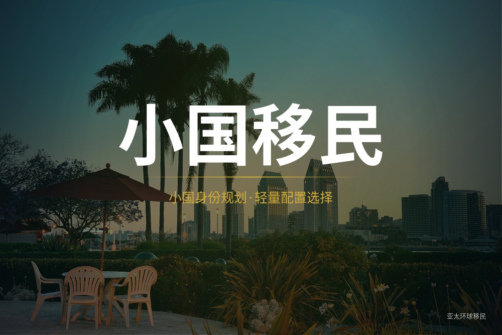 冰岛移民