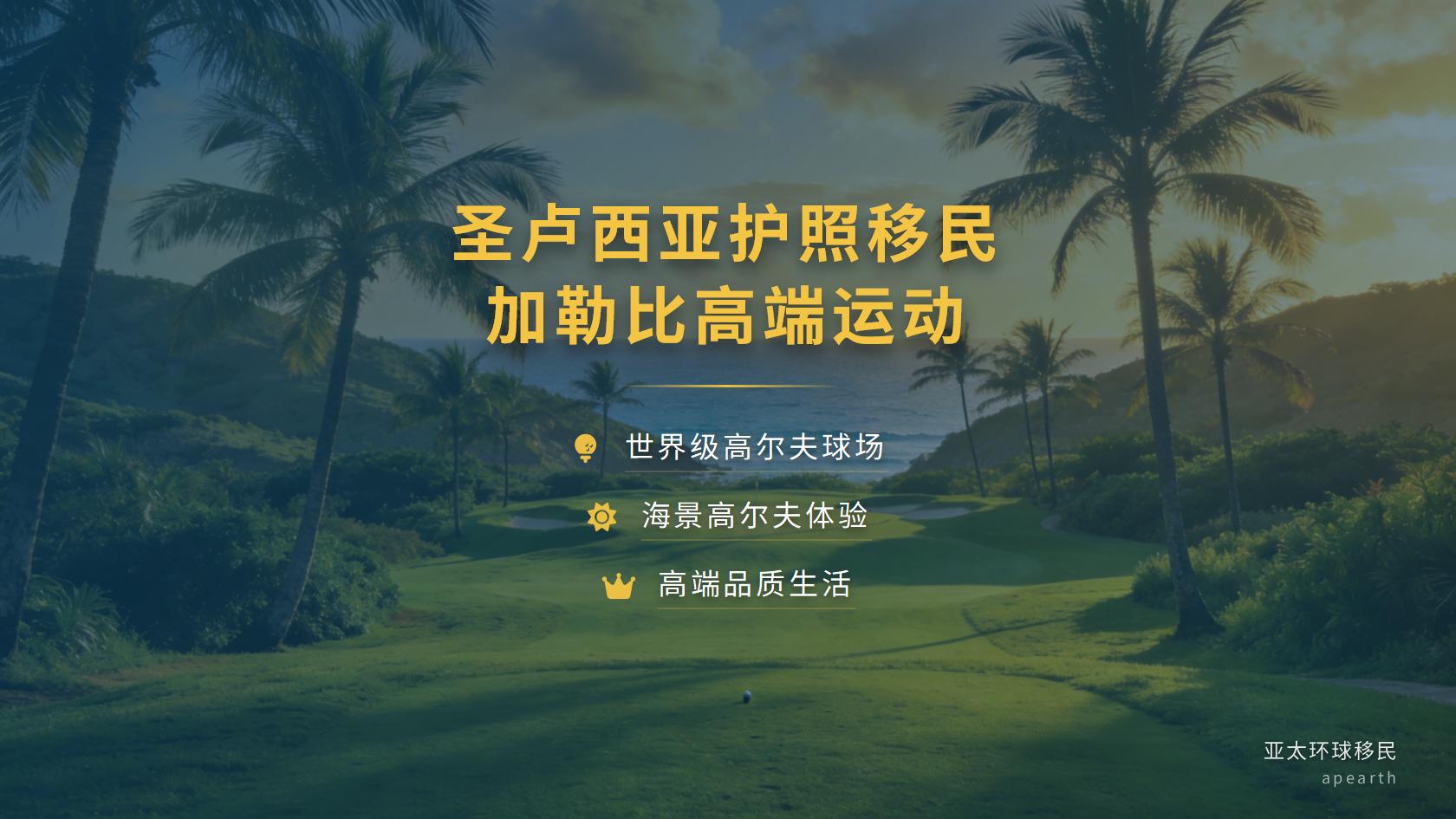 2026年圣卢西亚护照16岁以上家属需要提供哪些背景材料
