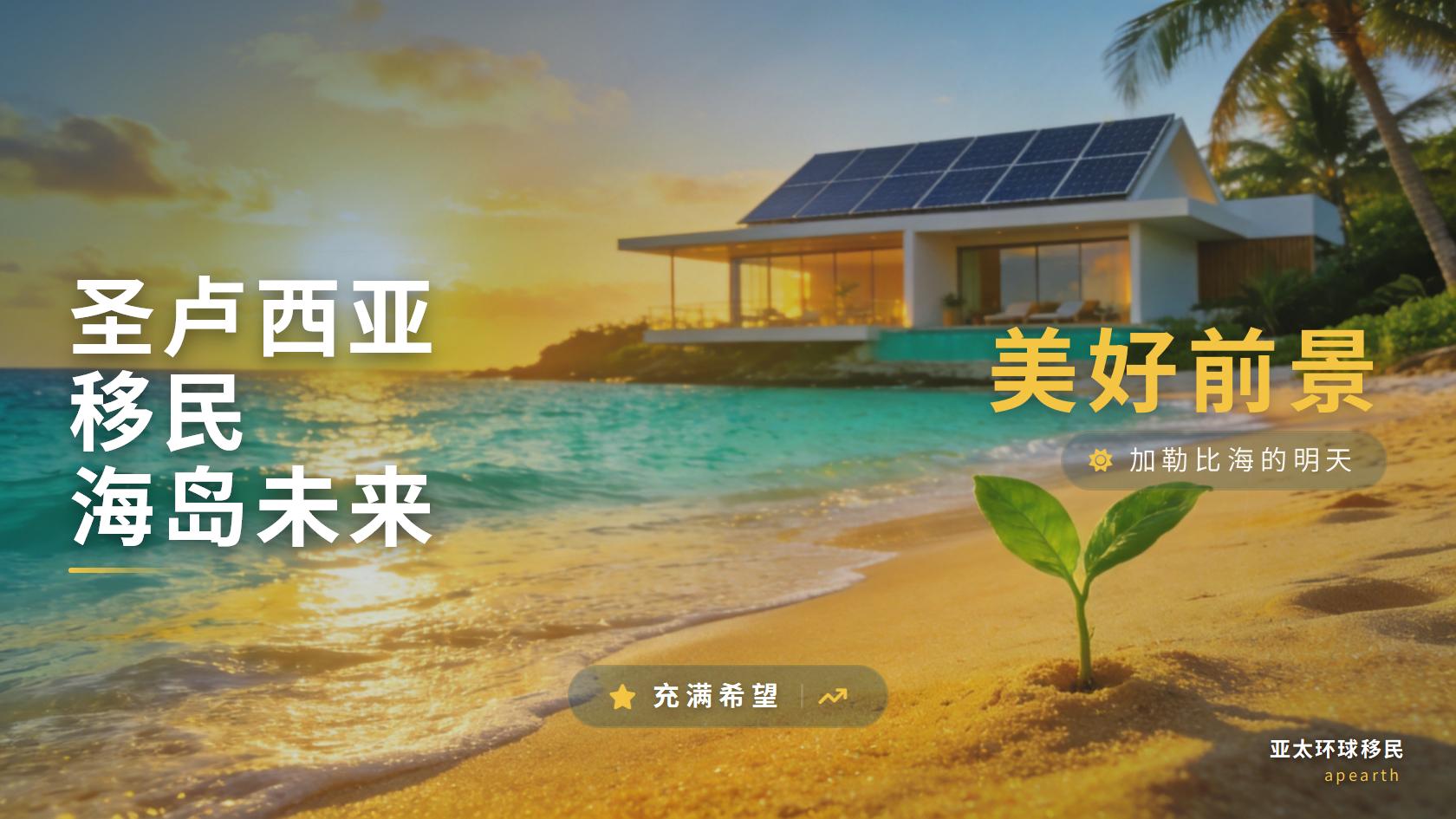 2026年圣卢西亚护照受养人为什么需要提交经济支持证明
